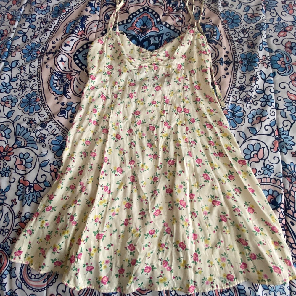 Zara Fit and Flare Dress NWT